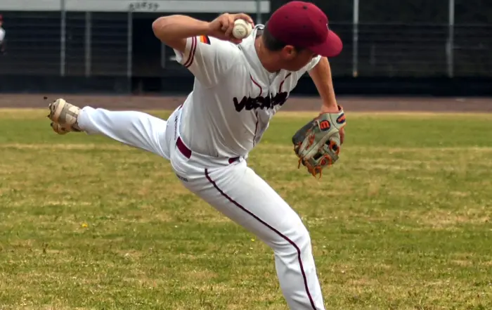 Baseball 1. Herren, aktuell 2. Bundesliga